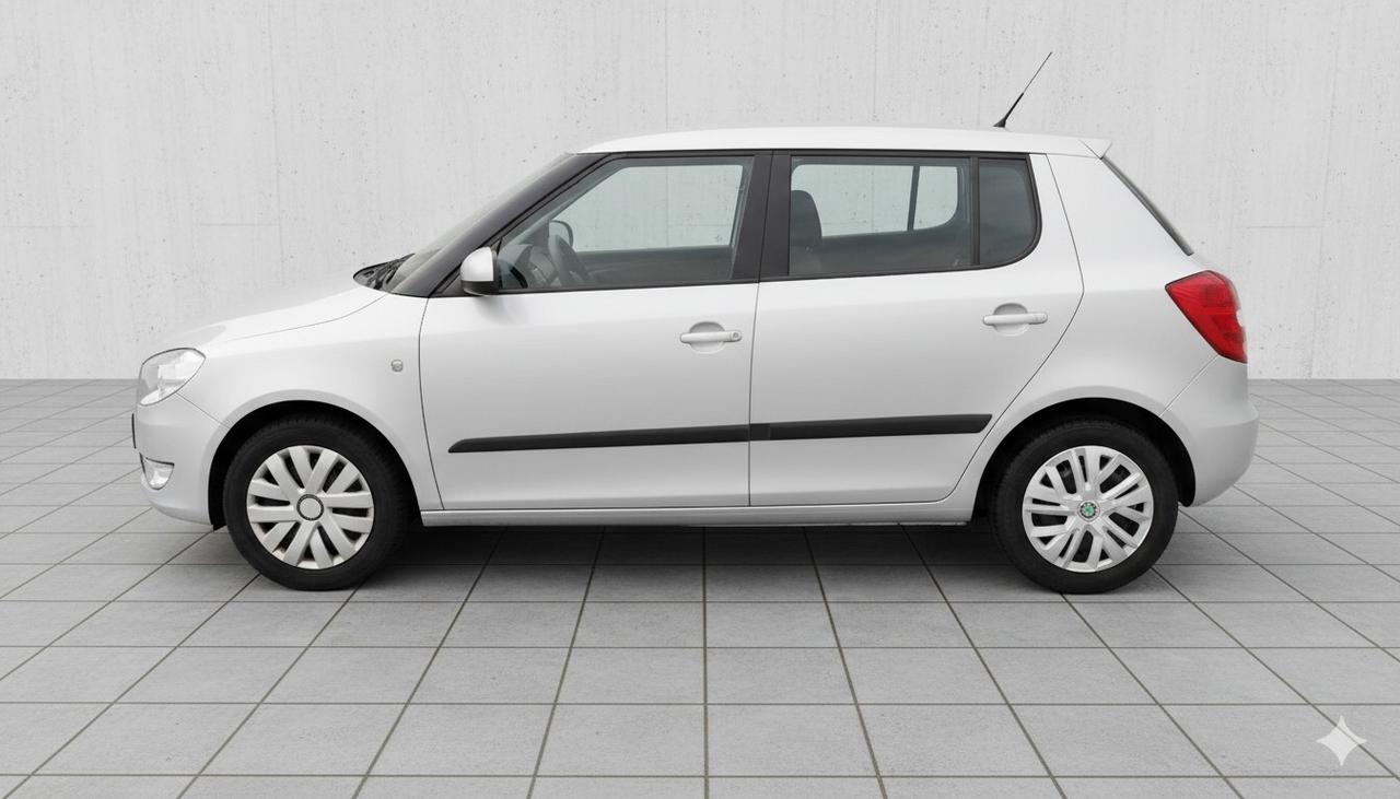 Skoda Fabia 1.6 TDI CR 90CV 5p. Style