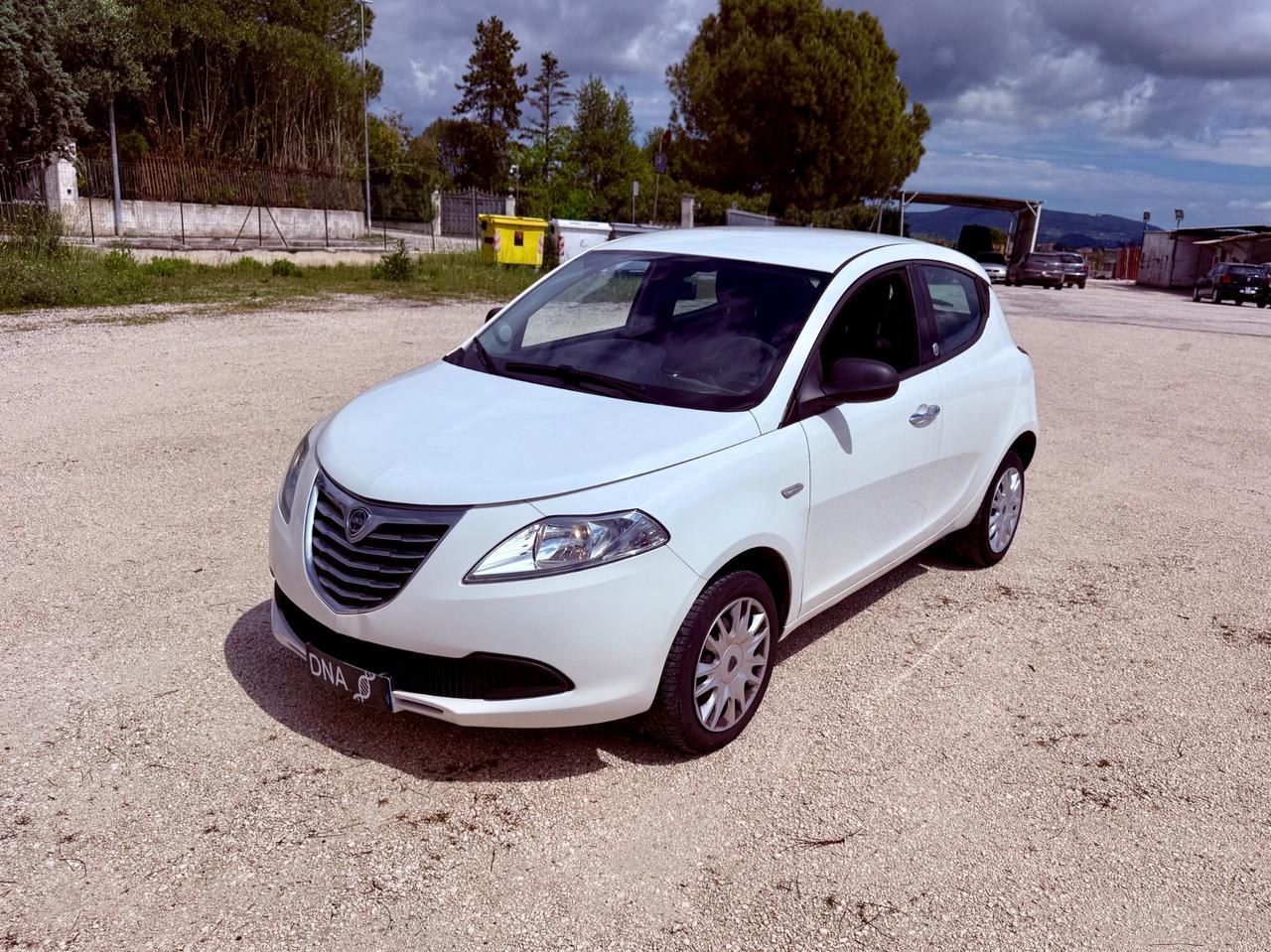 Ypsilon ecochic natural power neopatentati UNIPRO
