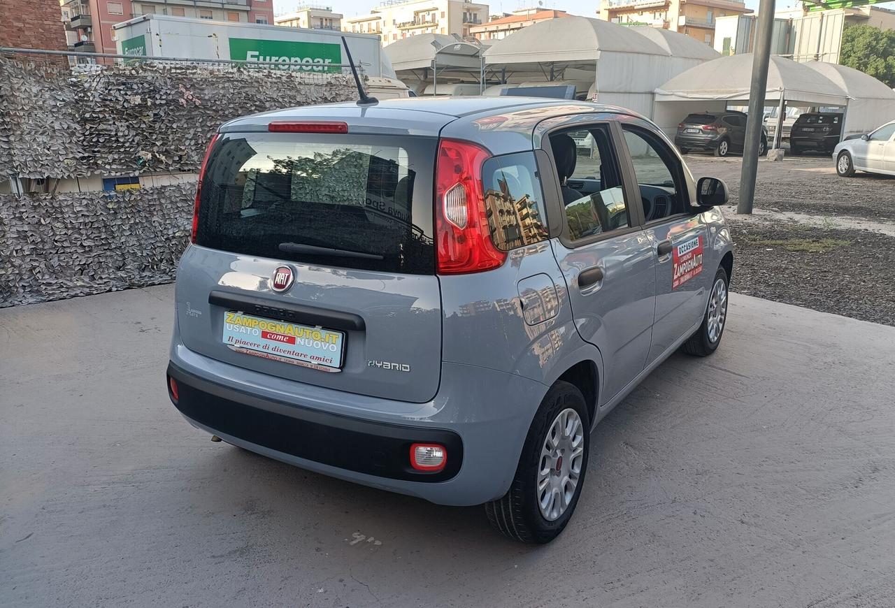 Fiat Panda 1.0 FireFly S&S Hybrid 2021 ZAMPOGNAUTO CT