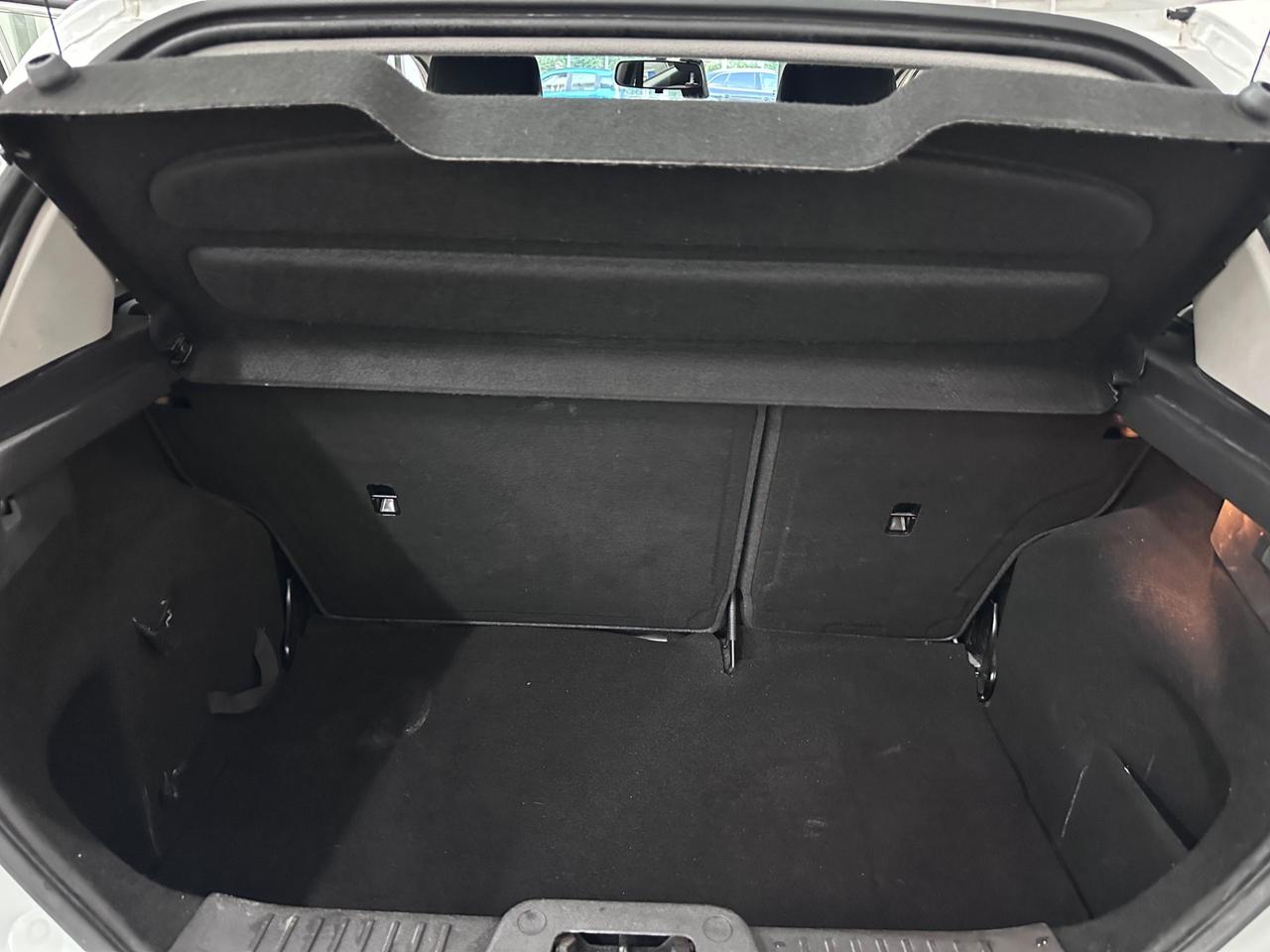 Ford Fiesta 1.0 80CV 5 porte Black & White Edition 2015