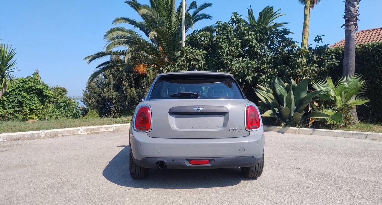 Mini 1.5 One D