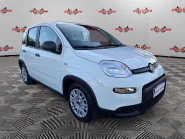 FIAT Panda 1.0 FireFly 70cv Hybrid, 5 POSTI, SENSORI PARCHEGGIO!