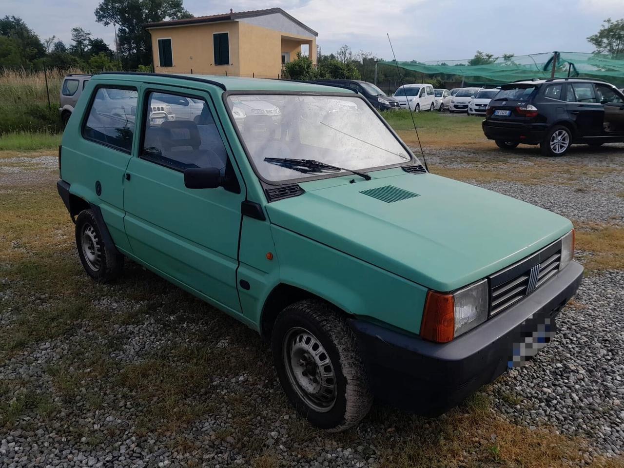 Fiat Panda 900 i.e. cat Young