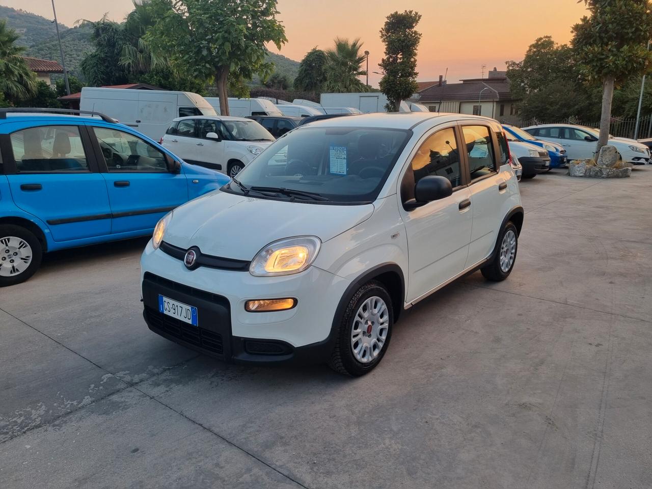 Fiat Panda 1.0 FireFly S&S Hybrid City Life - 10/2023