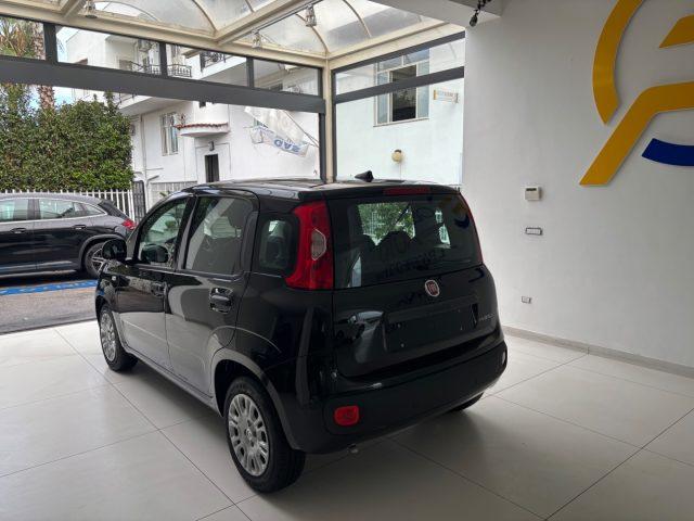 FIAT Panda 1.0 FireFly S&S Hybrid da ?139,00 mensili