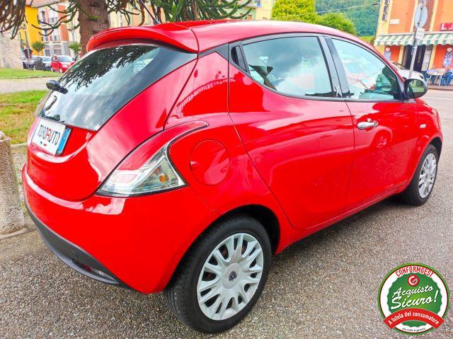 LANCIA Ypsilon 1.2 69 CV 5 porte Silver NEOPATENTATI