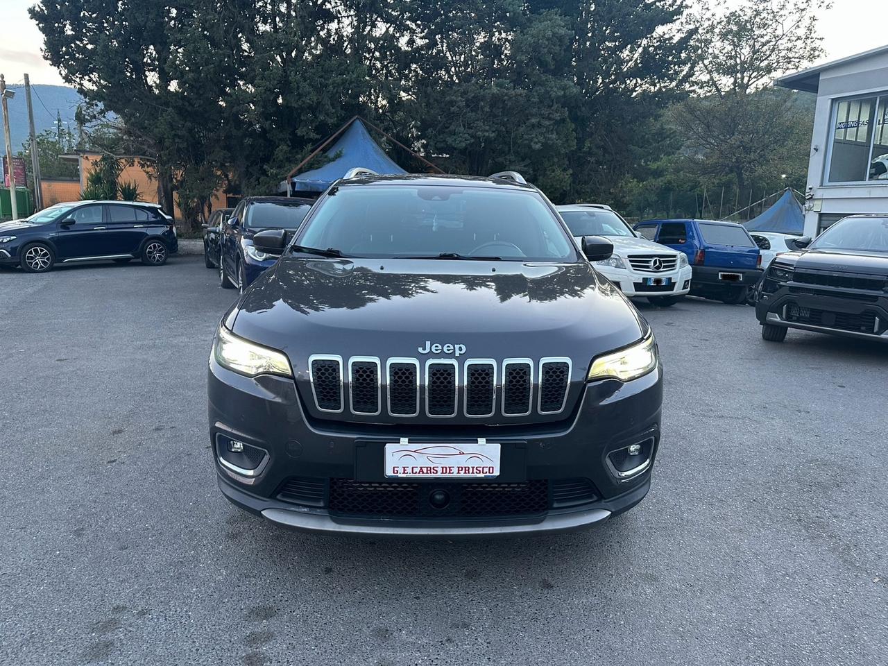 Jeep Cherokee 2.2 Mjt AWD Limited/Pelle/Led