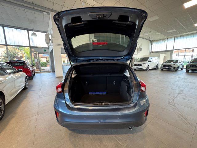 FORD Focus 1.5 EcoBlue 120 CV 5p. Business