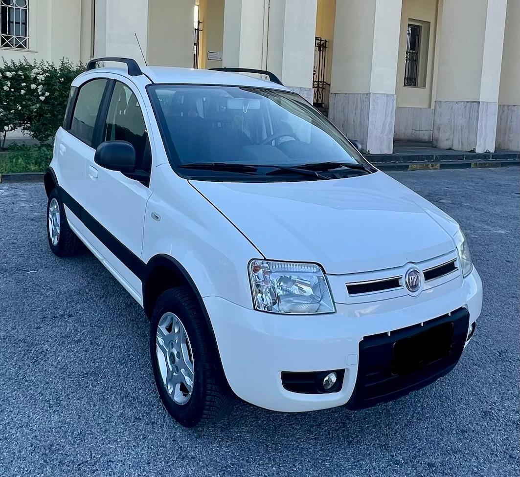 Fiat Panda 1.3 MJT 16V DPF 4x4 Climbing
