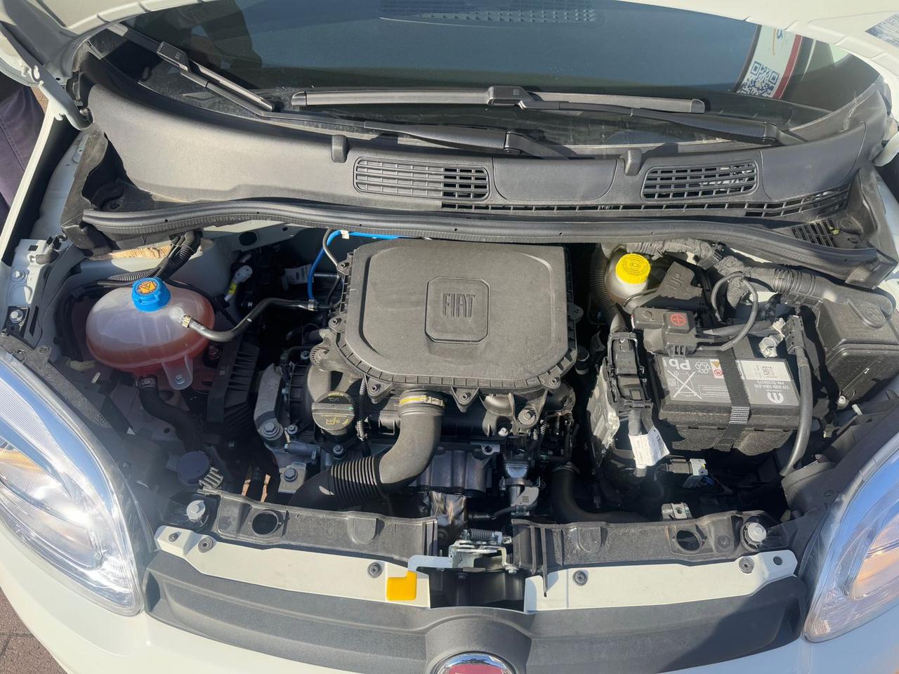 Fiat Panda Pandina 1.0 GSE MHEV #10191