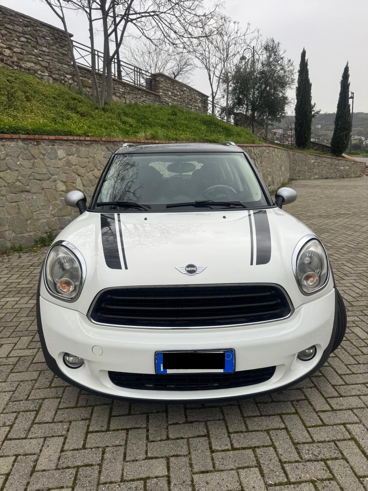 Mini Countryman 1.6 Diesel 110Cv 2010