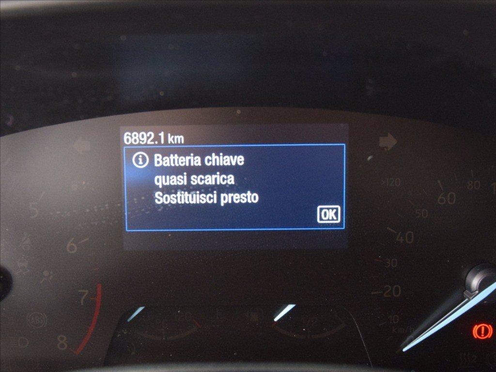 FORD Focus 1.0 ecoboost h ST-Line Design 125cv del 2024