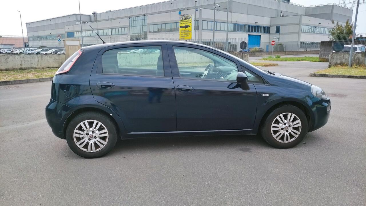 Fiat Punto 1.3 MJT 75 CV 5 porte Lounge NEOPATENTATI - 2015