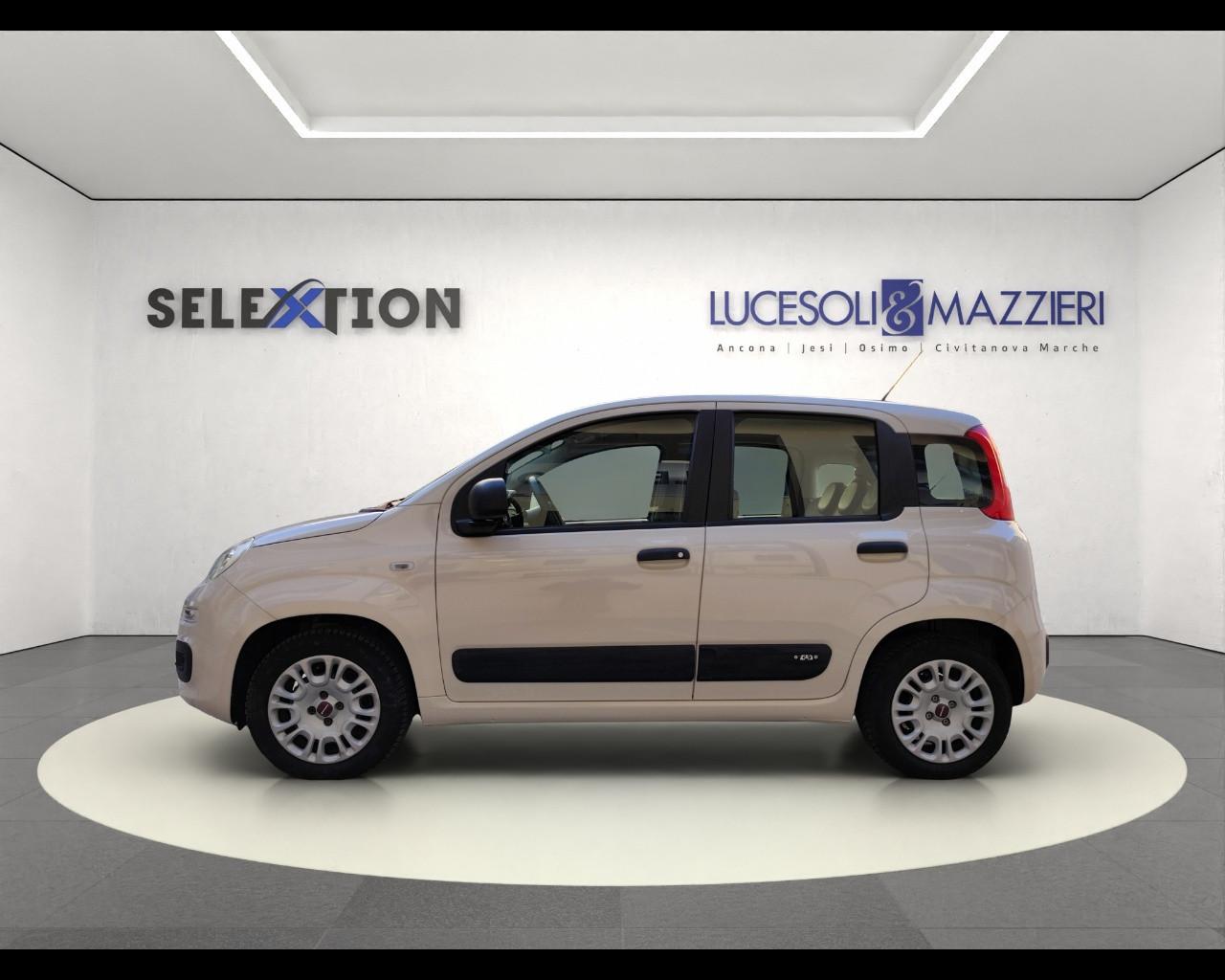 FIAT PANDA - Panda 1.2 Easy