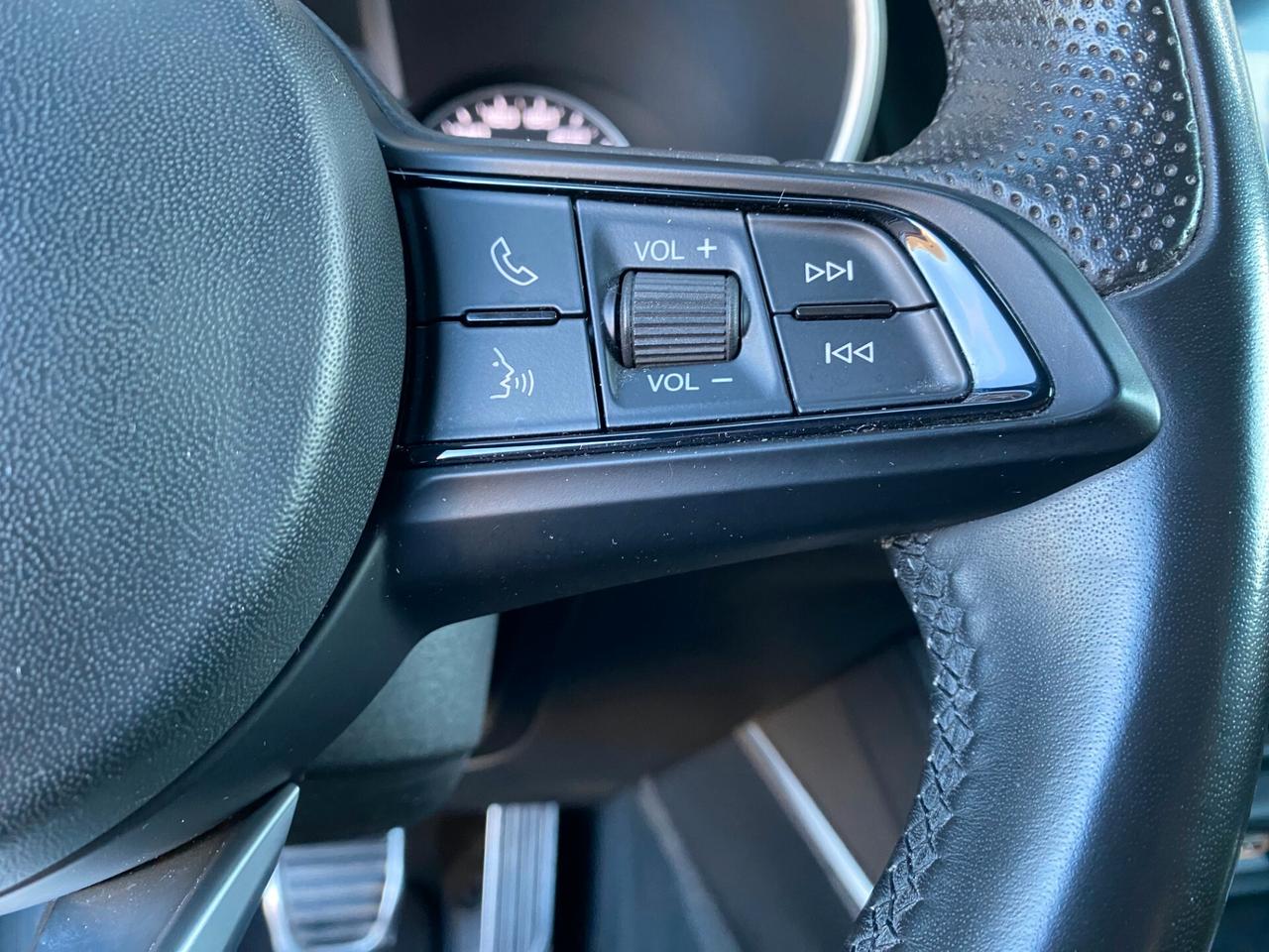 Alfa Romeo Stelvio 2.2 160CV VAN/AUTOCARRO 5 POSTI