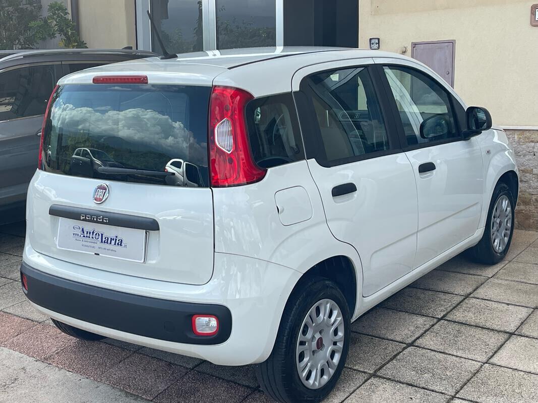 Fiat Panda 1.2 Easy 69cv my19 "Adatta anche per neopatentati" (Fendinebbia - Clima - Uconnect - Usb - Ruotino)