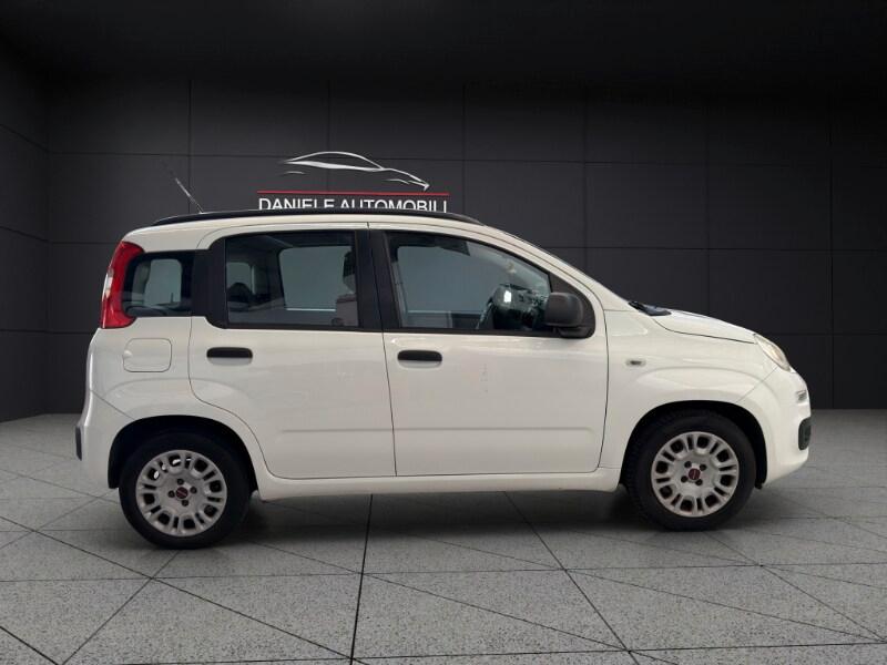 FIAT Panda 3ª serie Panda 1.2 Easy