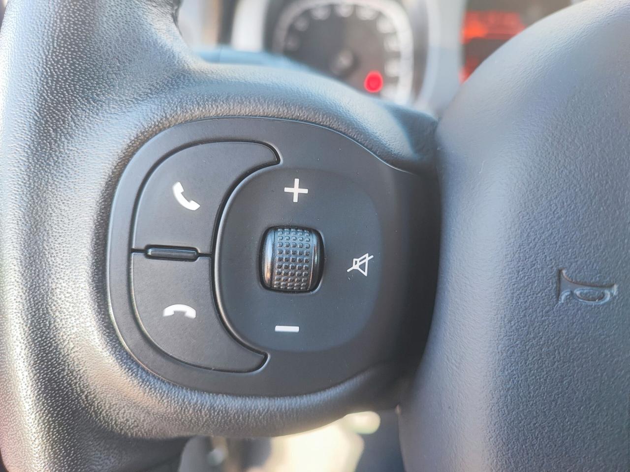 Fiat Panda Cross 4x4