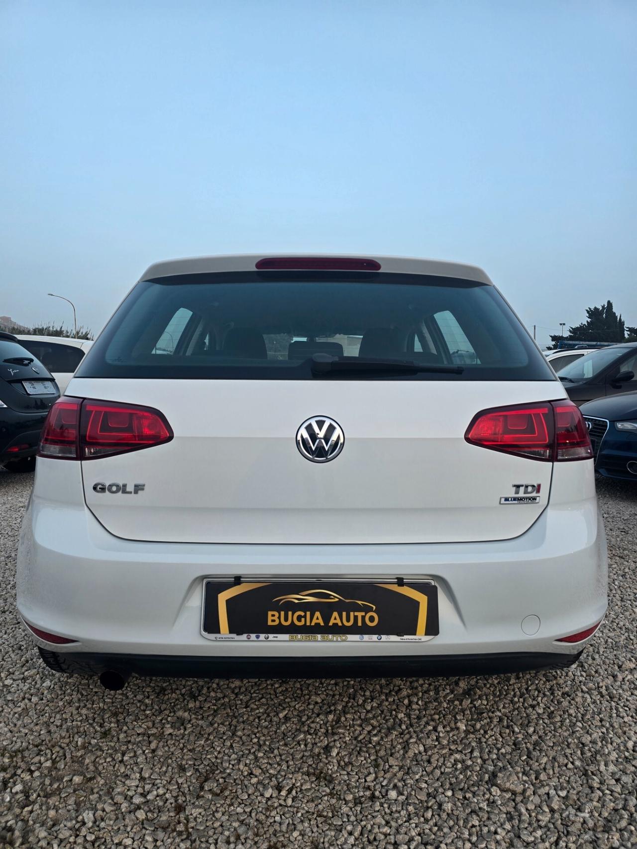 Volkswagen Golf 1.6 TDI 110 CV 5p. Business BlueMotion Technology