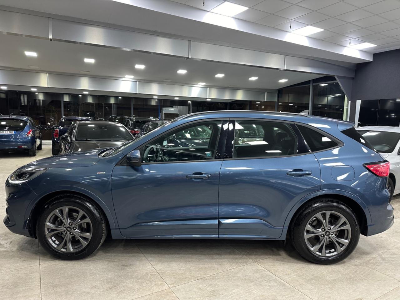 Ford Kuga 1.5 EcoBlue 120 CV aut. 2WD ST-Line 2022