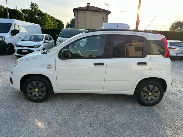 FIAT Panda OK NEO PAT. 1.2 Easy
