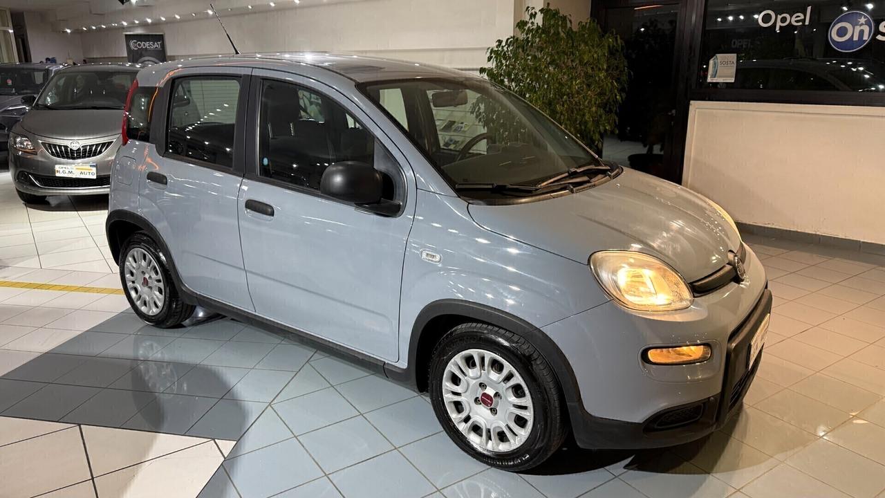 Fiat Panda 1.0 FireFly S&S Hybrid City Life TOUCH BLUETHOOT BLOCK SHAFT