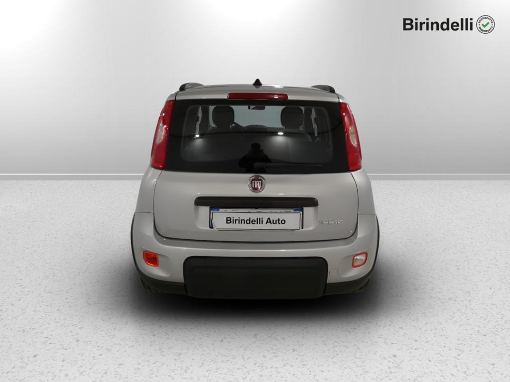 FIAT Panda 3ª serie - Panda 1.0 FireFly S&S Hybrid City Life