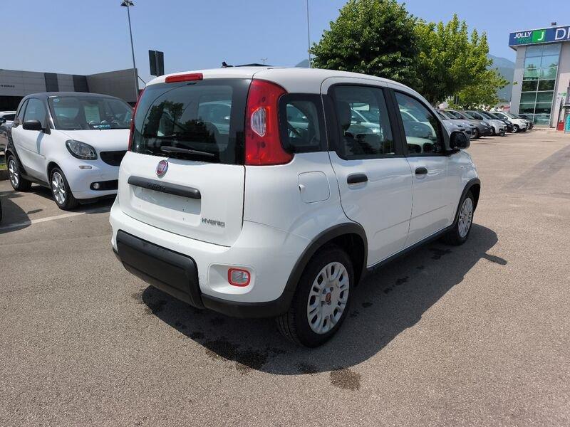 FIAT Panda III 2021 1.0 firefly hybrid s&s 70cv