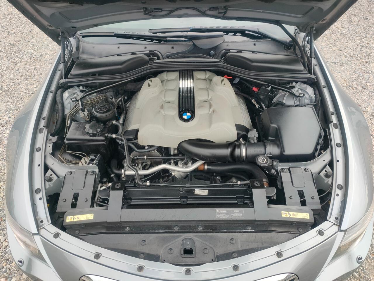 Bmw 645 645Ci cat