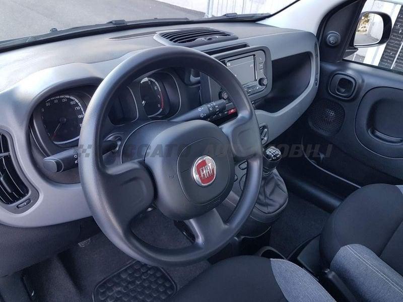 FIAT Panda Panda 1.0 firefly hybrid City Life s&s 70cv 5p.ti