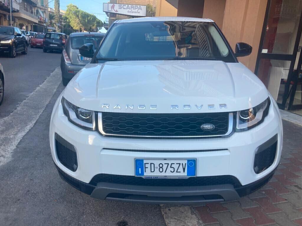 Range Rover Evoque 2.0 TD4 150 CV 5p. Business Edition Pure