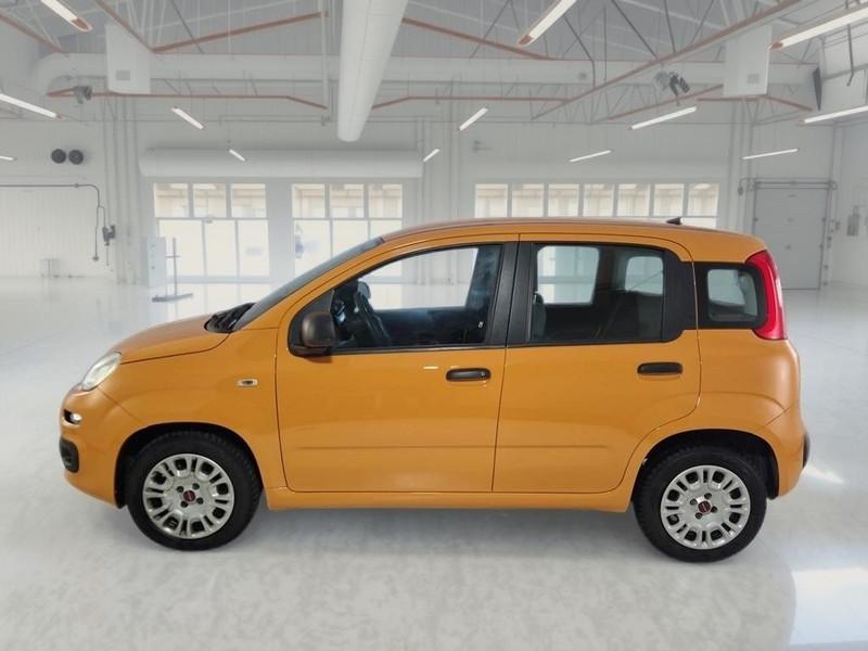 FIAT PANDA 1.2 69cv S/S E6d-Temp Easy 5 PORTE