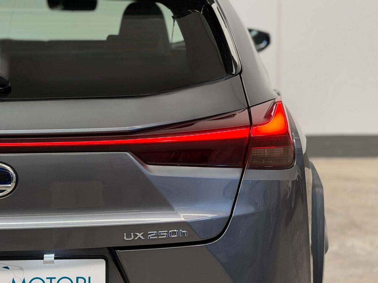 Lexus UX Hybrid Business