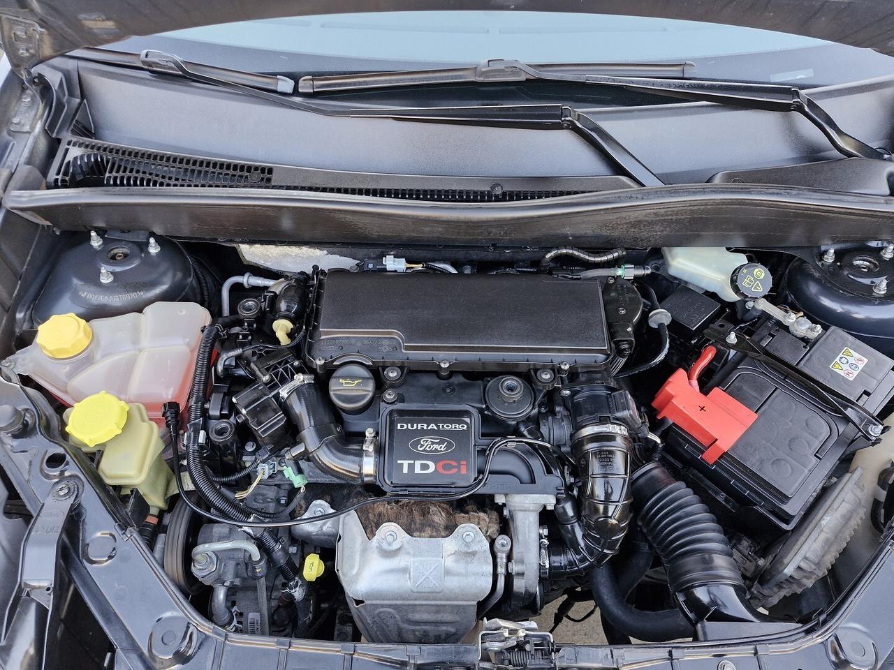 FORD FUSION 1.4 TDCi 5 PORTE TITANIUM ANNO 2009