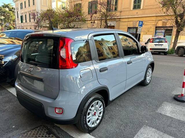 FIAT Panda 1.0 FireFly Hybrid -Pronta Consegna Nuovo Mod