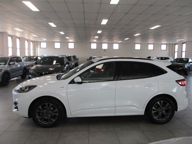 Ford Kuga 1.5 EcoBlue 120 CV aut. 2WD ST-Line