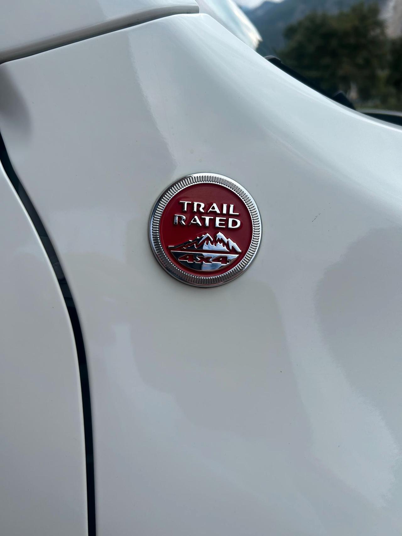 Jeep Renegade 2.0 mjt Trailhawk 4wd 170cv auto