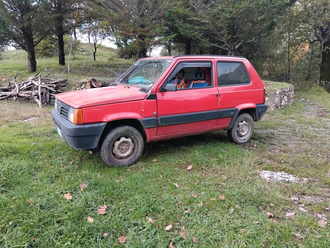 Fiat Panda van 1100 i.e. cat 4x4 2 posti