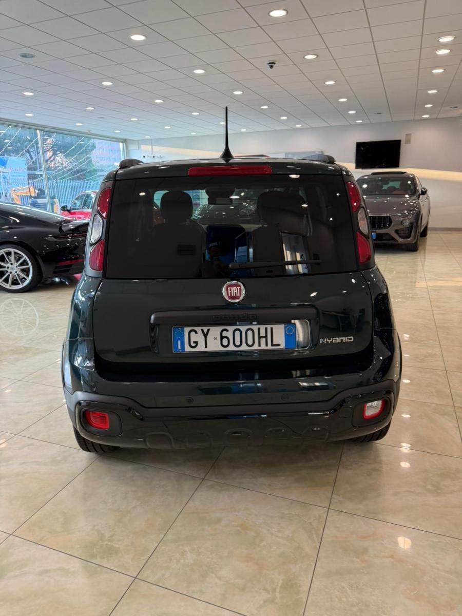 FIAT - Panda - 1.0 FireFly S&S Hybrid Pandina