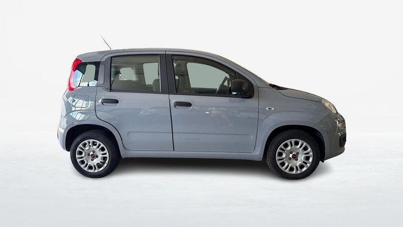 FIAT Panda III 2016 1.2 69cv Easy S&S my19