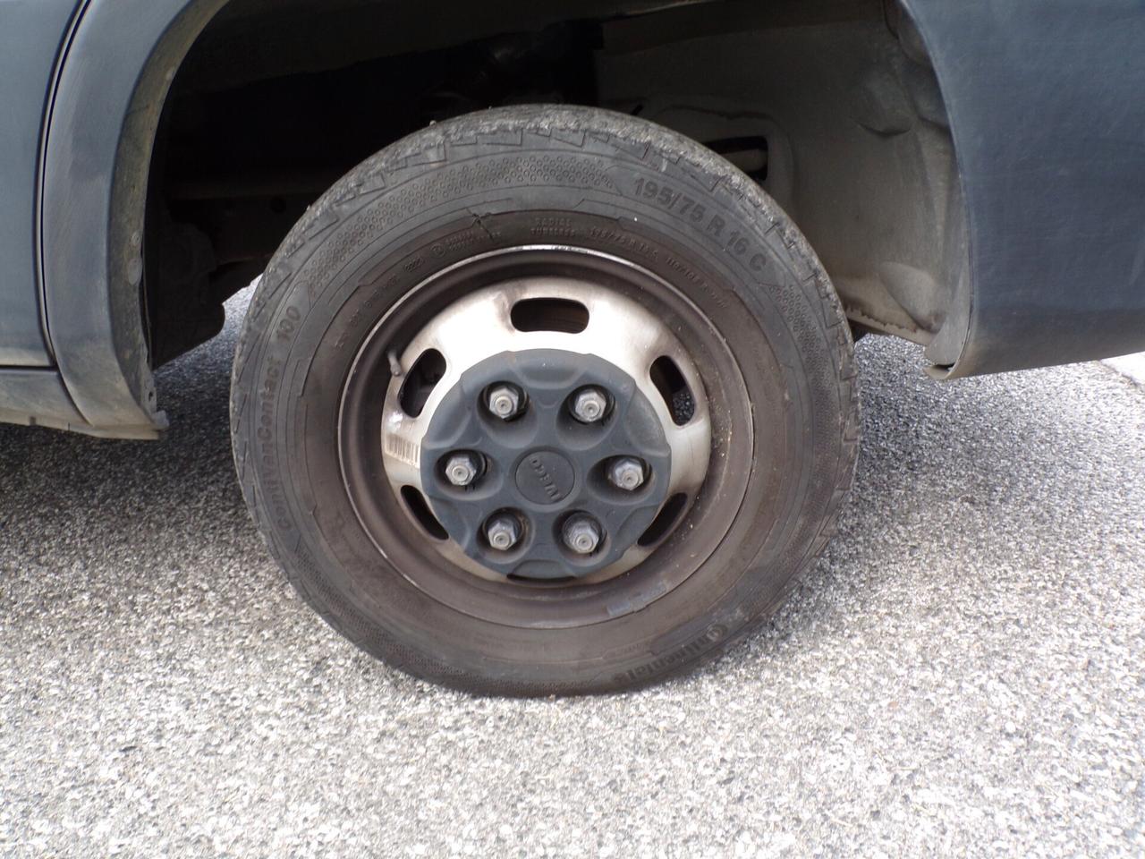 IVECO DAILY 35C12 CON CELLA FRIGO