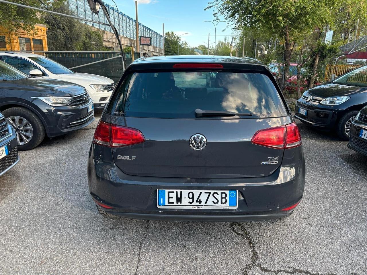 Volkswagen Golf Business 1.4 TGI 5p. OK Neopatentati