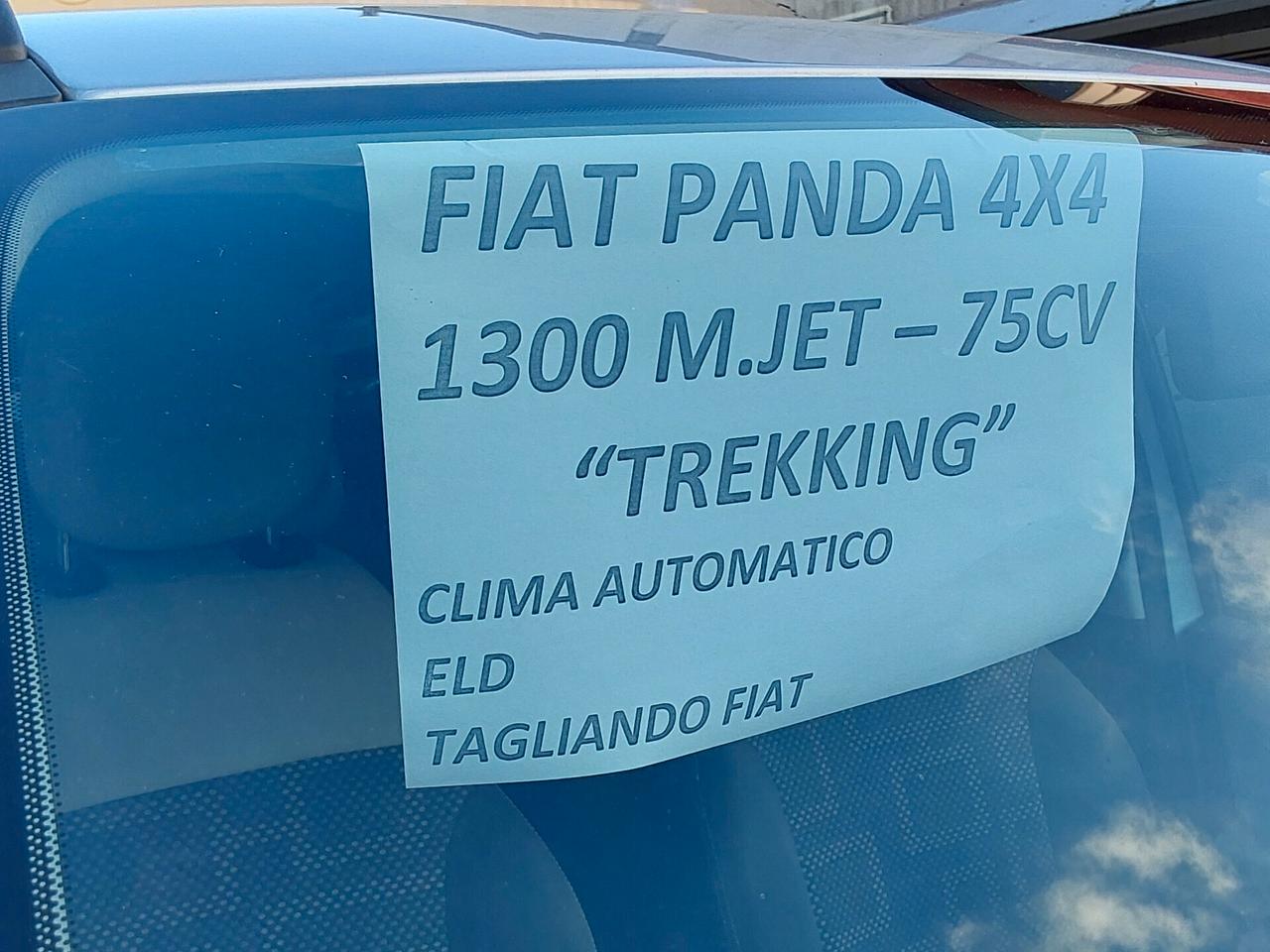 Fiat Panda 1.3 MJT 75 CV 4x4 Trekking con (ELD).