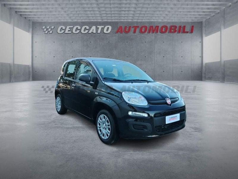 FIAT Pandina Pandina 1.0 65cv Hybrid Icon