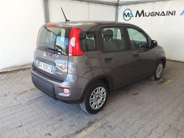 FIAT Panda 1.0 FireFly 70cv Hybrid *solo 19.700 Km*