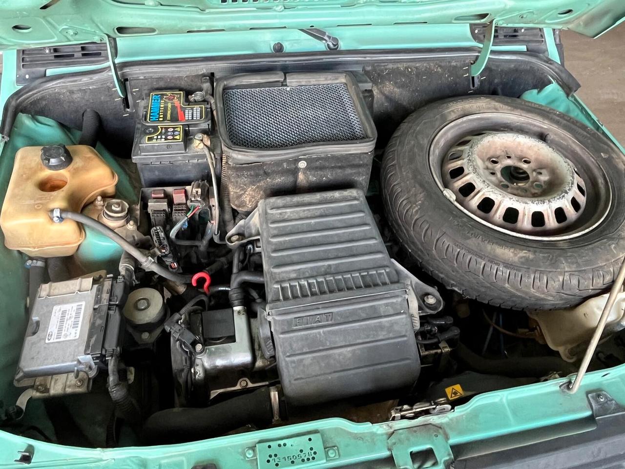 Fiat Panda 1100 i.e. cat Young
