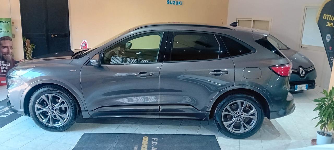 Ford Kuga 1.5 EcoBlue 120 CV aut. 2WD ST-Line