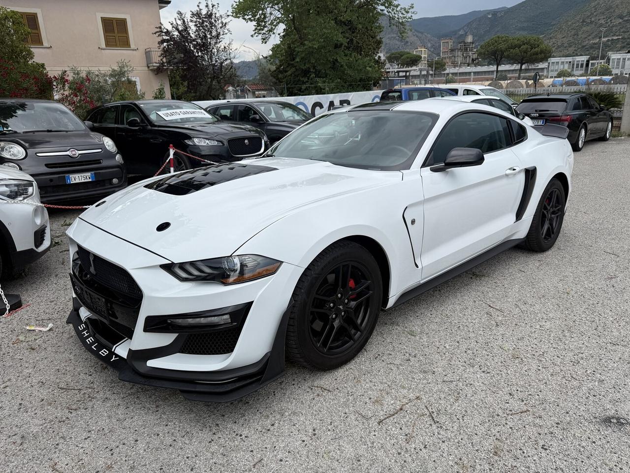 FORD MUSTANG SHELBY FULL OPTIONAL 314CV