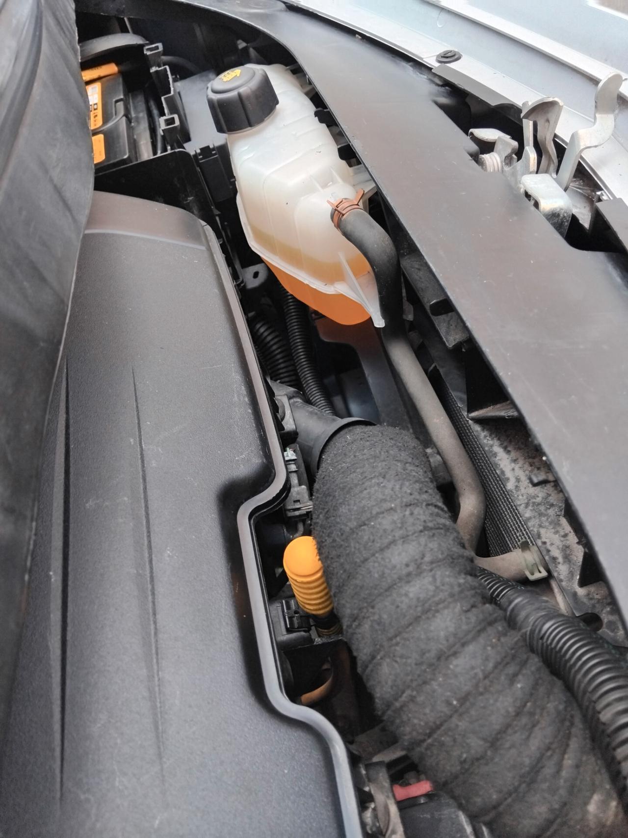 RENAULT MODUS 1.2 KM80254 DIMOSTRABILI