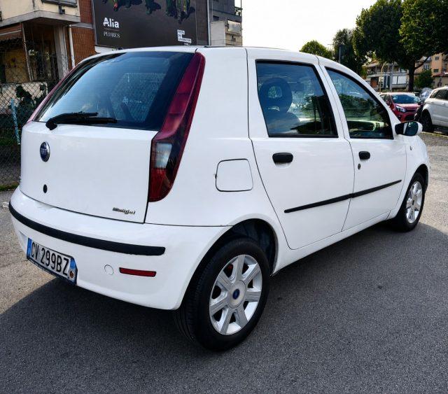 FIAT Punto 1.3 Multijet 16V 5 porte Dynamic Ok Neopatentati